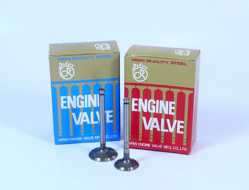 Dokuro Engine Valves